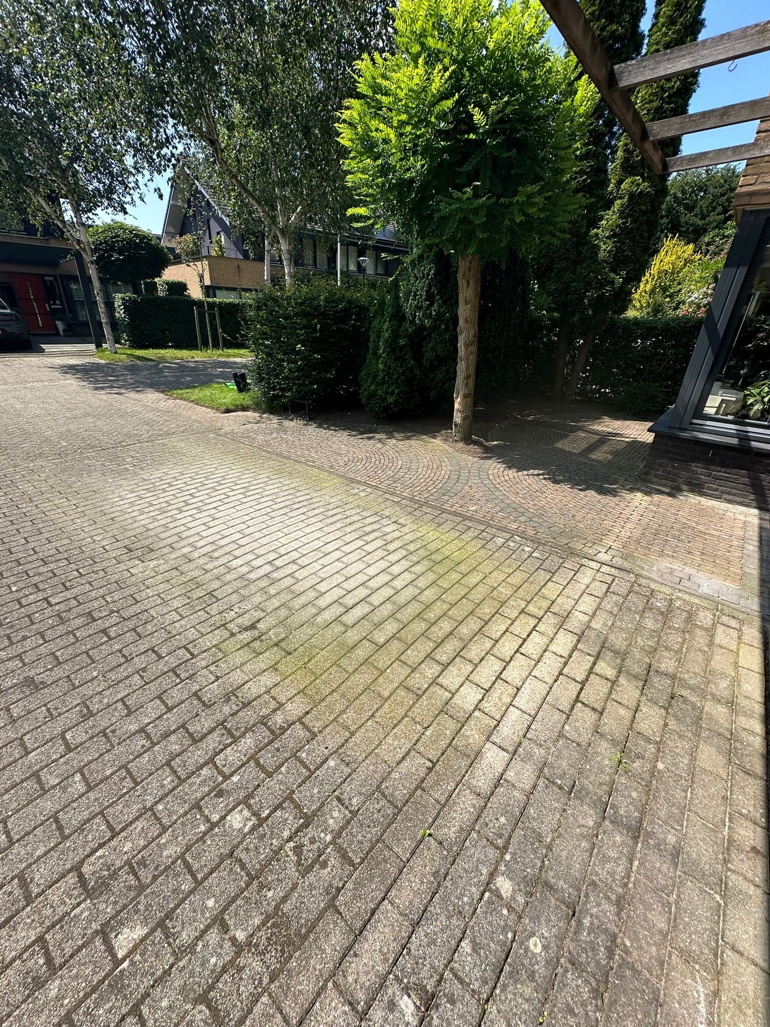 Voor de tuinrenovatie